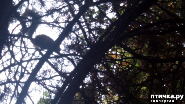 ���� 2: ����� �� ������