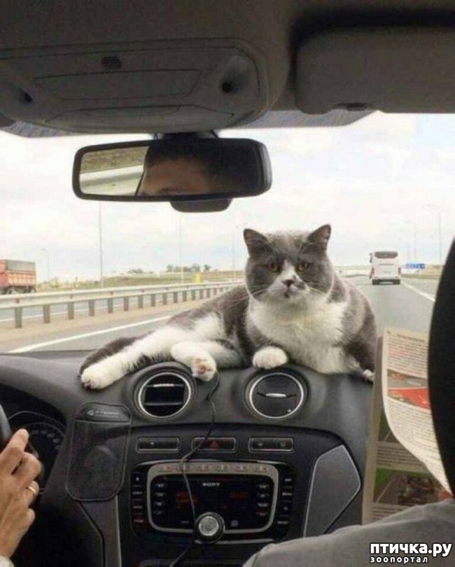 ���� 19: ���� ������ �����)))