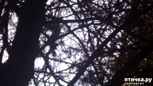 ���� 3: ����� �� ������