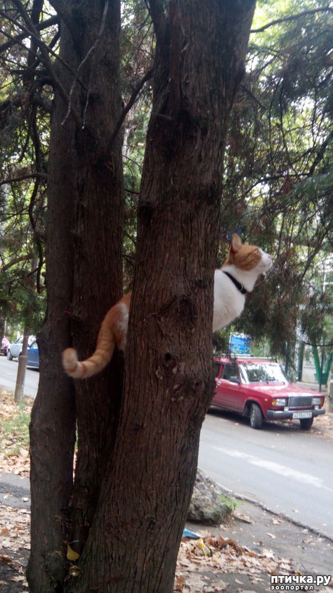 ���� 4: ����� �� ������