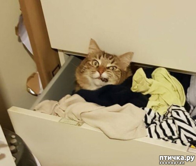 ���� 21: ���� ������ �����)))