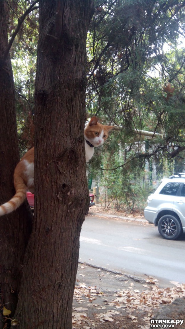 ���� 5: ����� �� ������