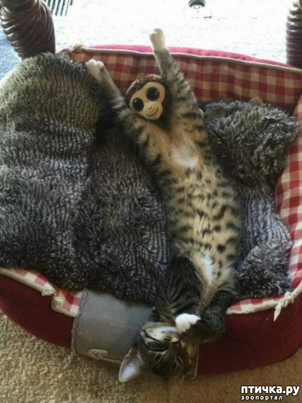 ���� 24: ���� ������ �����)))