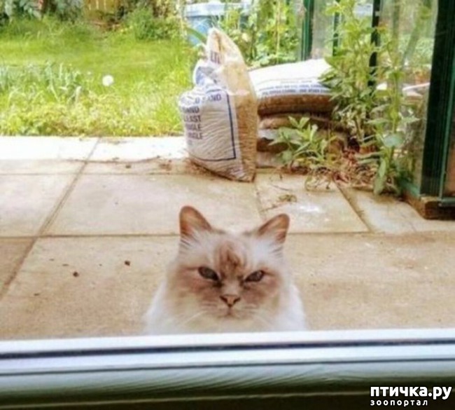 ���� 23: ���� ������ �����)))