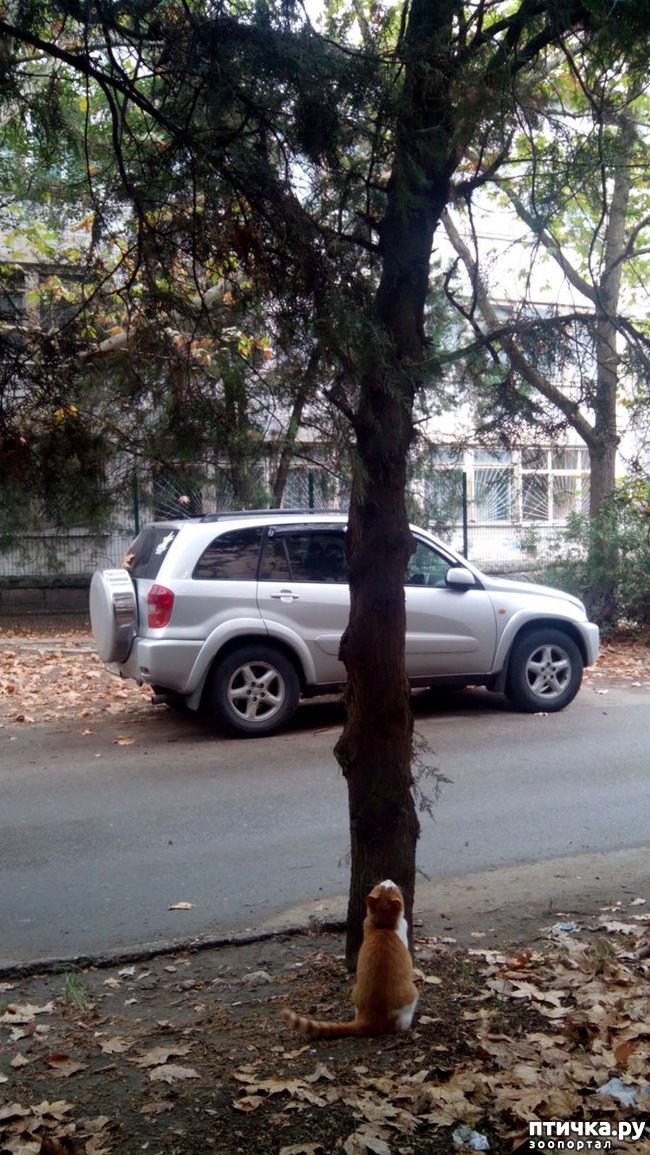 ���� 6: ����� �� ������