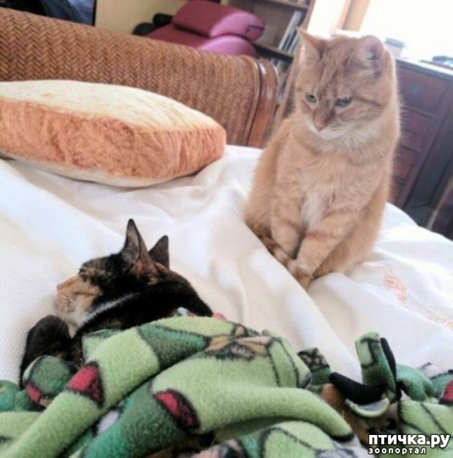 ���� 26: ���� ������ �����)))