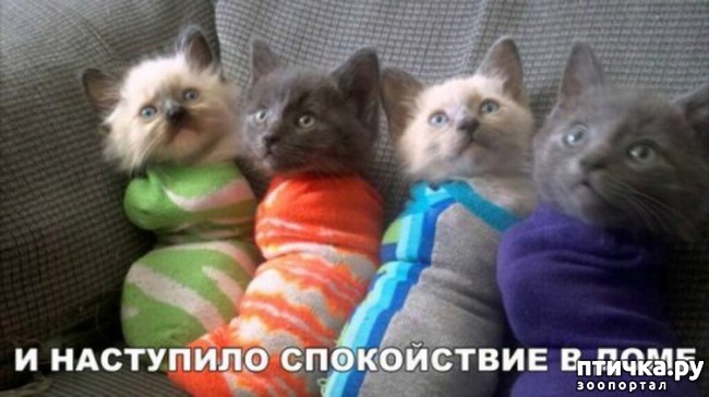 ���� 29: ���� ������ �����)))