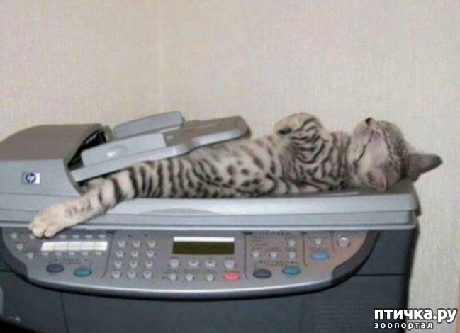 ���� 30: ���� ������ �����)))