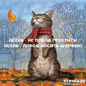 ����: �����