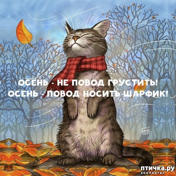 ���� 1: �����