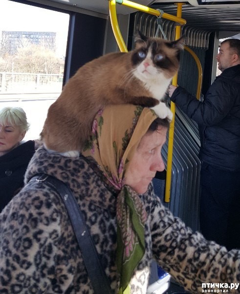 ���� 1: ������� � ��������