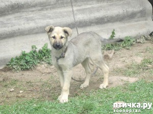 ����: ���� ����� �������� � ������������ 3 ���� � ������, ����� �� �� ����� ����?