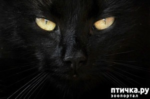 ����: � � � �