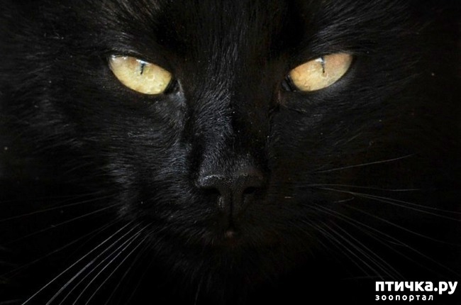 ���� 1: � � � �