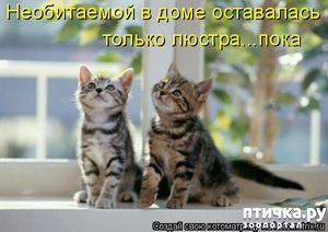 ����: �����������: ���������