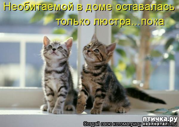 ���� 1: �����������: ���������