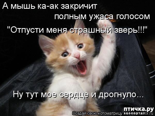 ���� 4: �����������: ���������