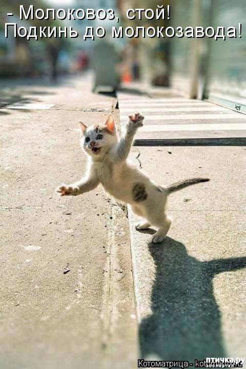 ���� 5: �����������: ���������