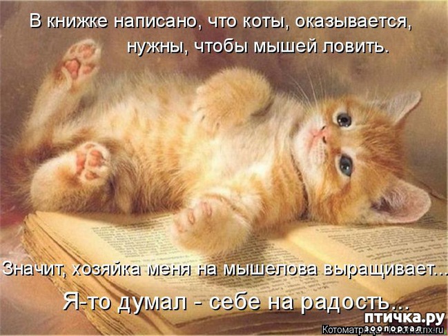 ���� 6: �����������: ���������