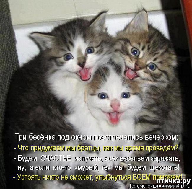 ���� 8: �����������: ���������