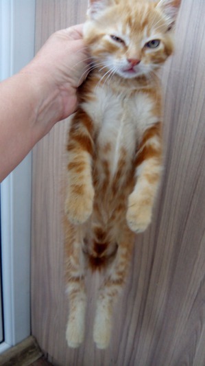 ����: �� ��� ��� ���???