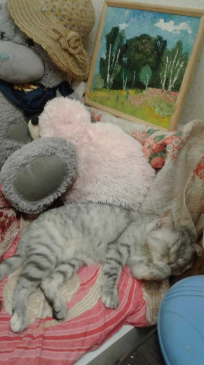 ����: ��������� �������������.