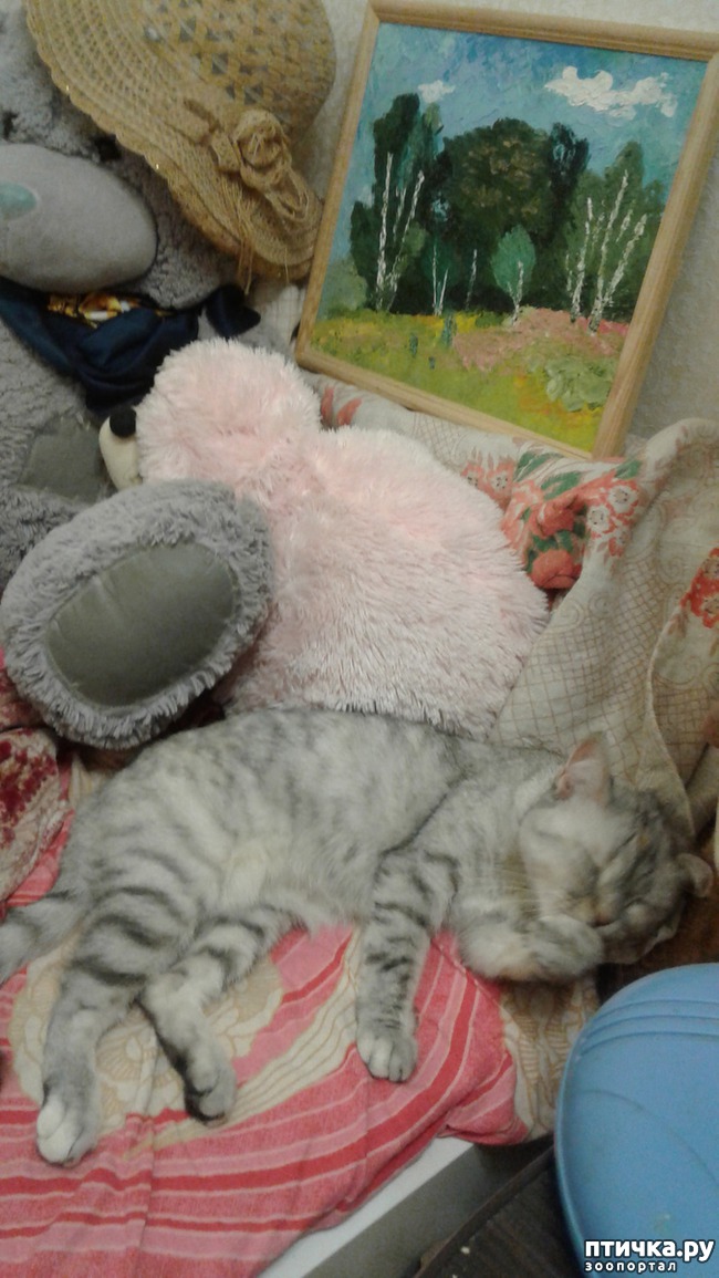 ���� 1: ��������� �������������.