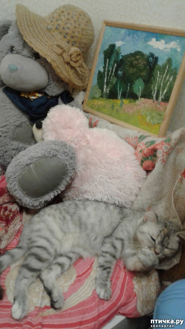 ���� 2: ��������� �������������.