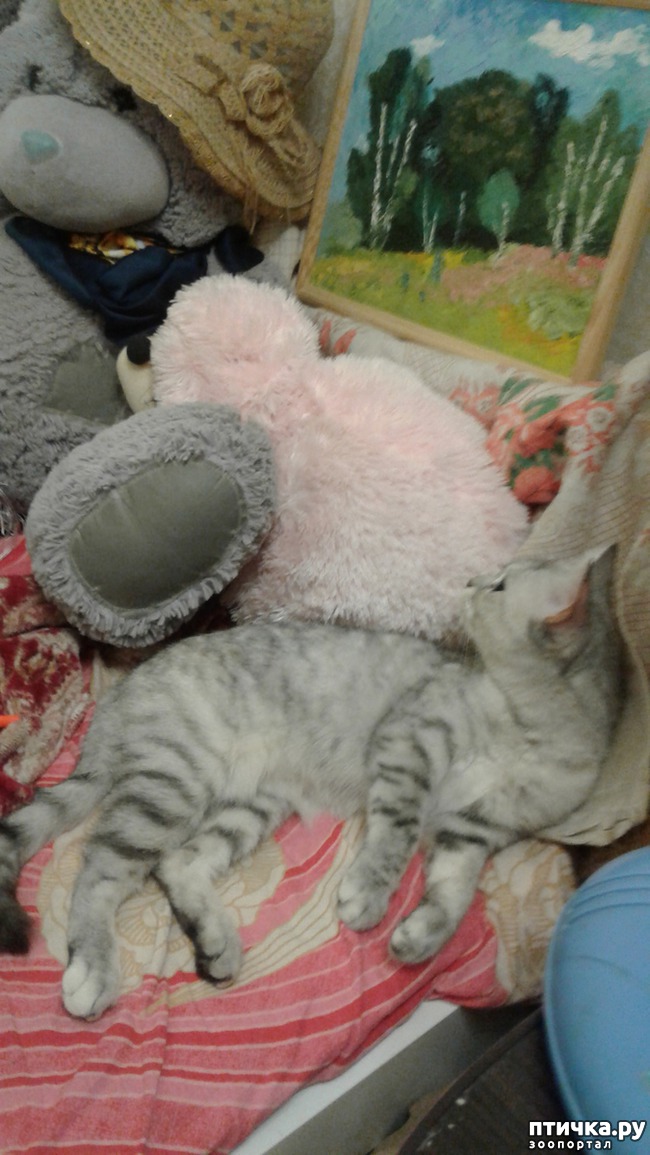 ���� 3: ��������� �������������.