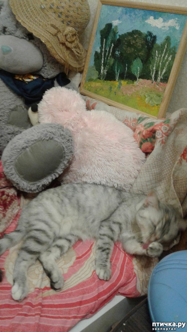 ���� 4: ��������� �������������.