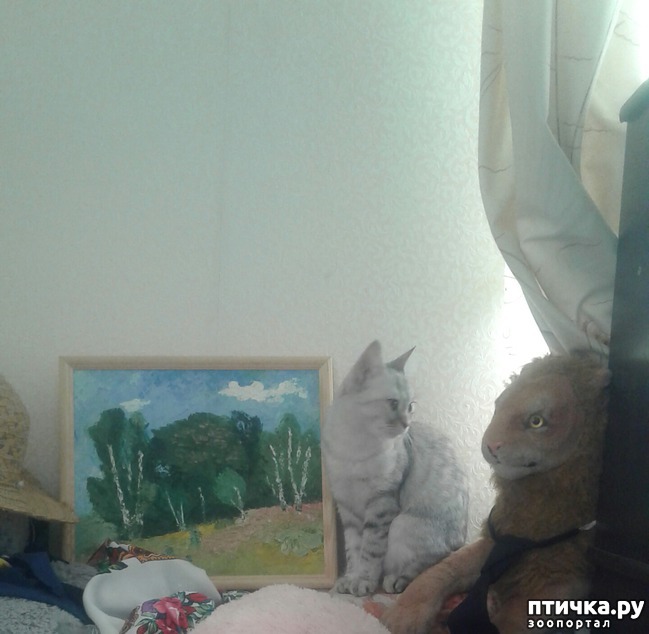 ���� 5: ��������� �������������.