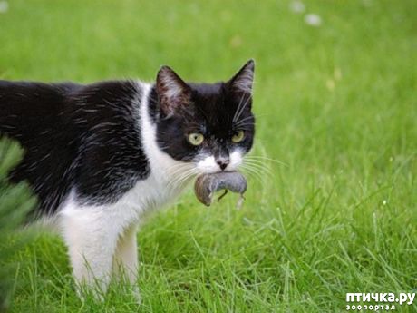 ���� 1: ������ ����� �������� ����� ������ ��������