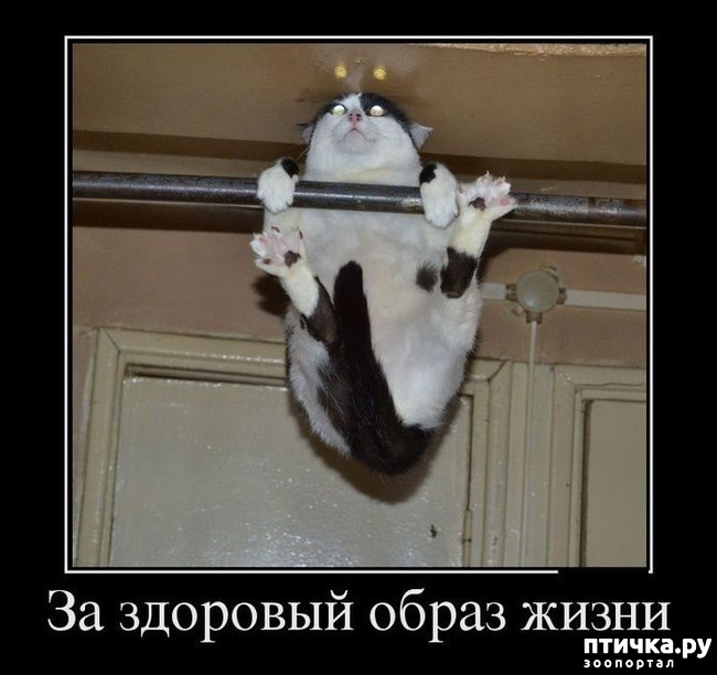 ���� 2: �����������: ������ �������!!!