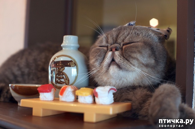 ���� 3: �����������: ������ �������!!!