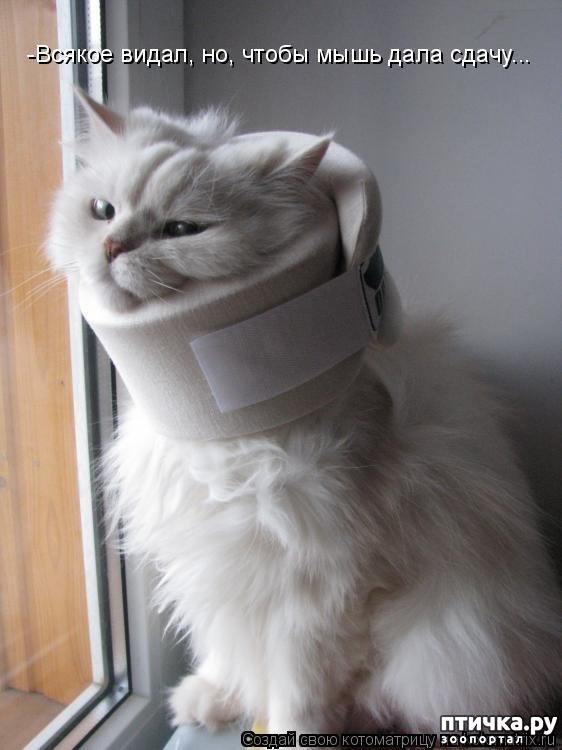 ���� 5: �����������: ������ �������!!!