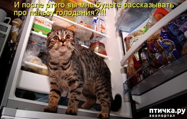 ���� 6: �����������: ������ �������!!!