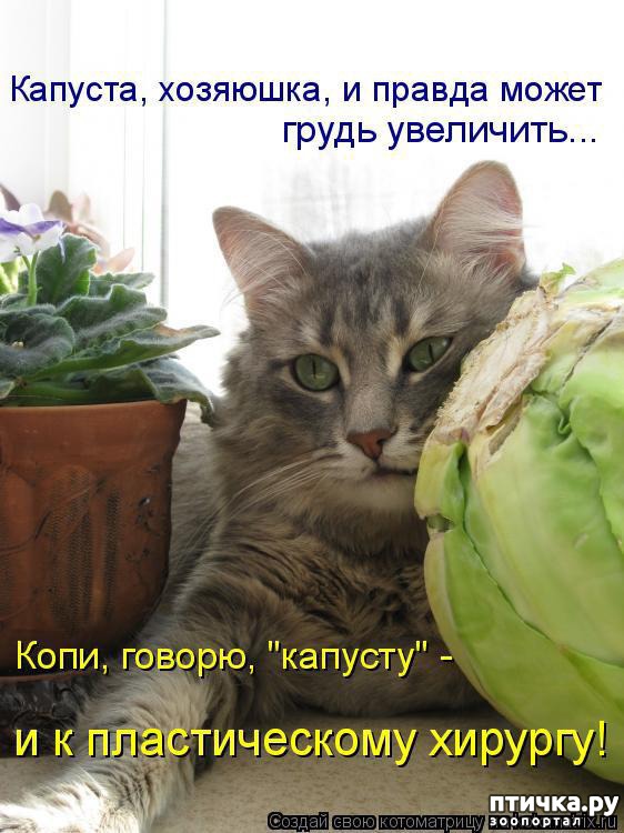 ���� 8: �����������: ������ �������!!!