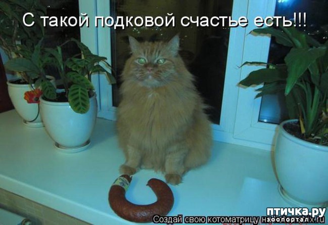 ���� 11: �����������: ������ �������!!!