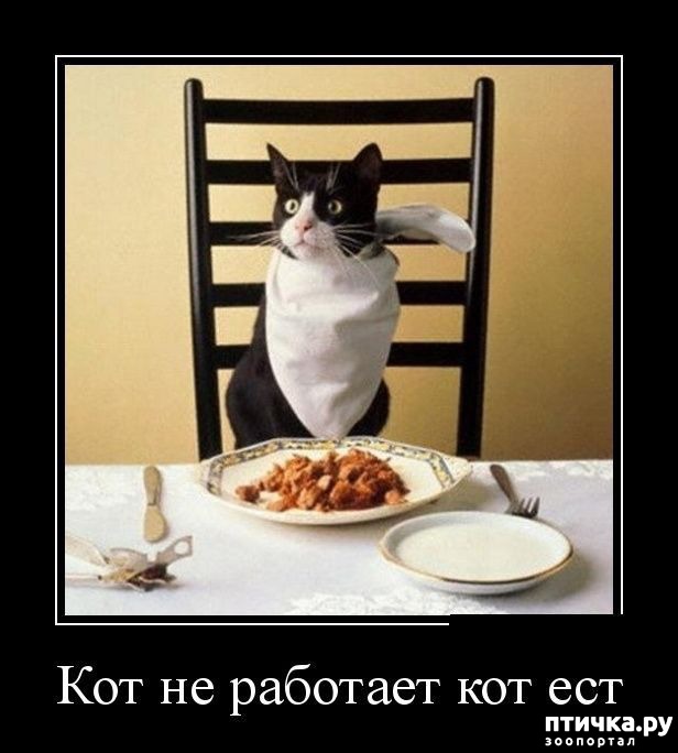 ���� 13: �����������: ������ �������!!!