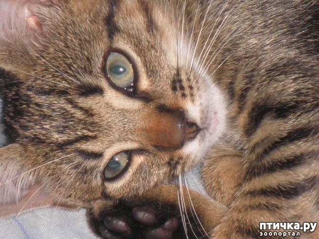 ���� 2: ������ - ����������