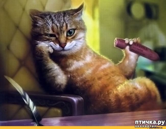 ���� 14: �����������: ������ �������!!!