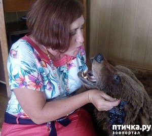 ����: ������� � ��������