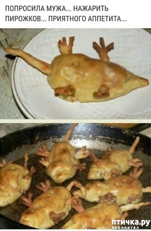 ����: �������