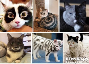 ����: ��� ��� �����!