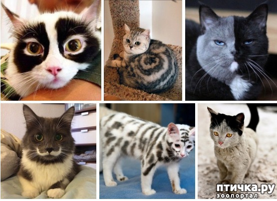 ���� 1: ��� ��� �����!