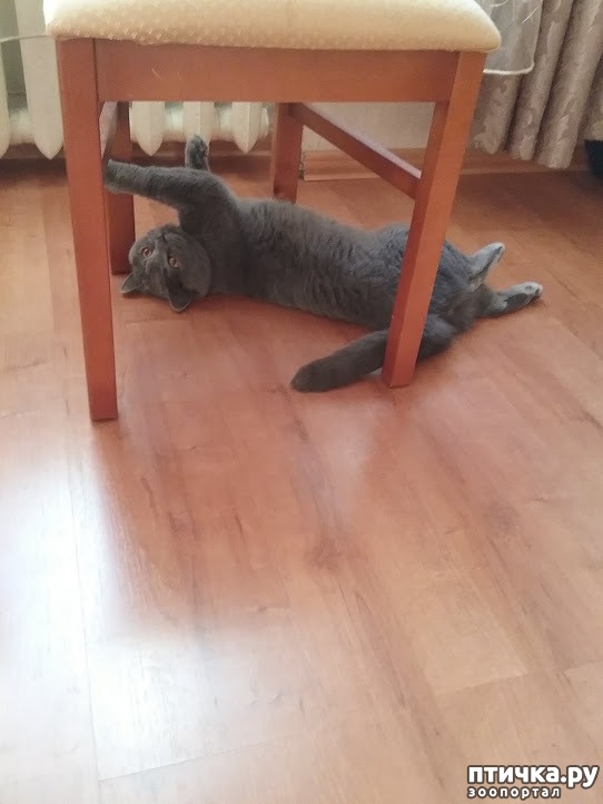 ���� 4: ����� �� ������� ���?