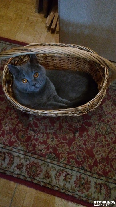 ���� 5: ����� �� ������� ���?