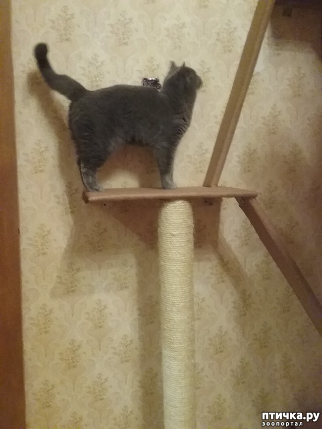 ���� 6: ����� �� ������� ���?