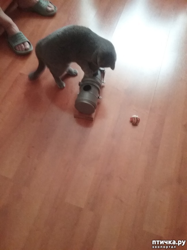 ���� 7: ����� �� ������� ���?