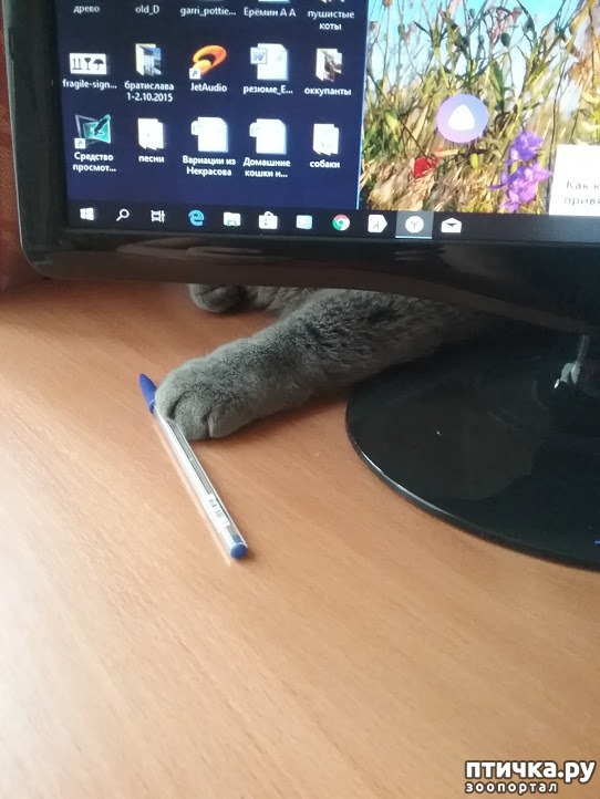 ���� 8: ����� �� ������� ���?